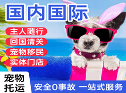 通化航空邮寄国际宠物托运 【国
